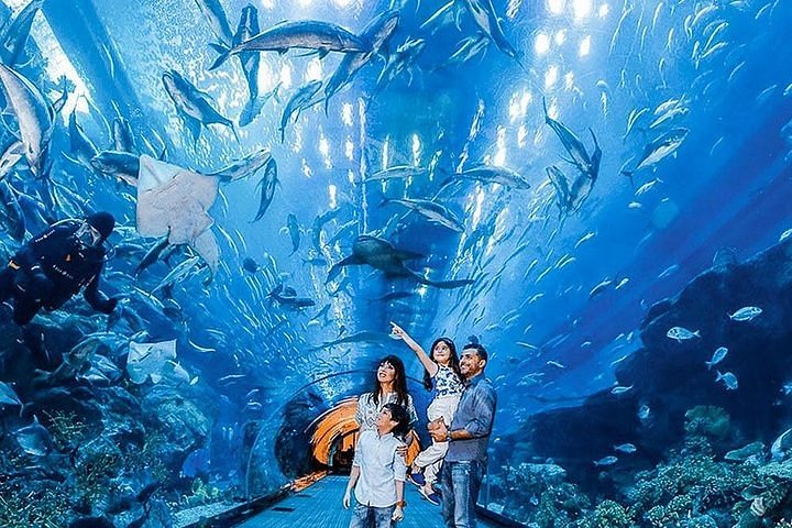 Classic 5 Days Dubai Tour with Aquarium & Underwater Zoo